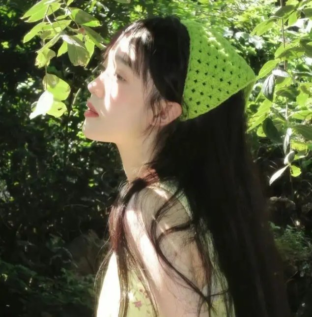 房子与狗